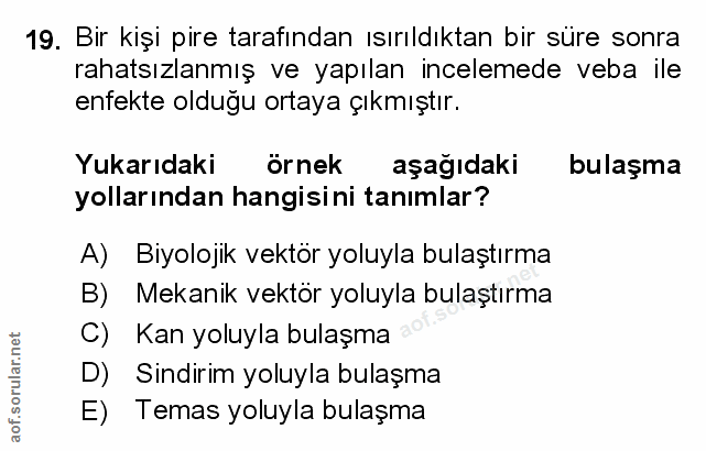 Soru 19