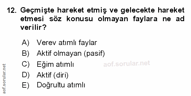 Soru 12