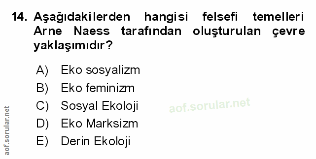 Soru 14