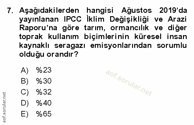 Soru 7