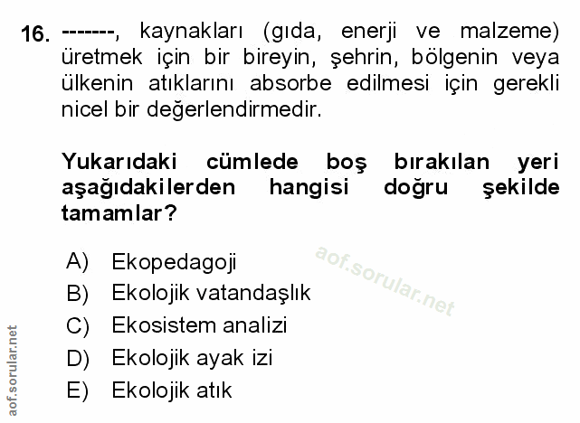 Soru 16