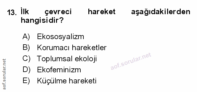 Soru 13