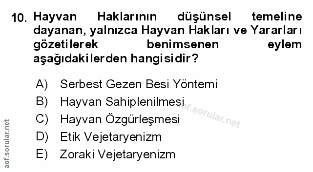 Soru 10