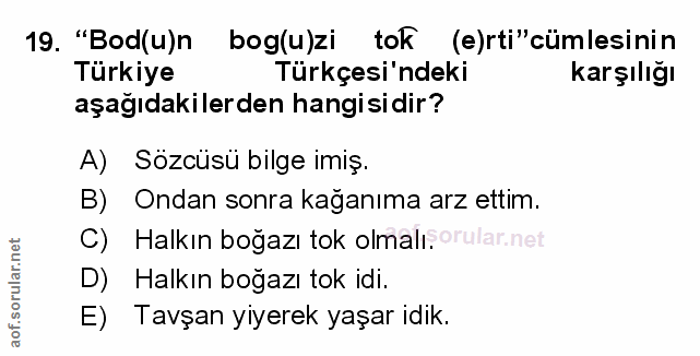 Soru 19