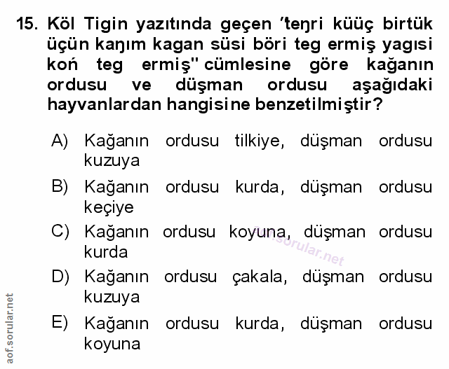 Soru 15