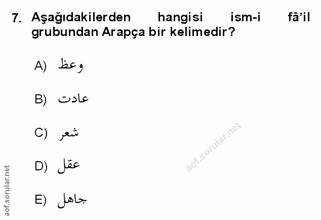 Soru 7