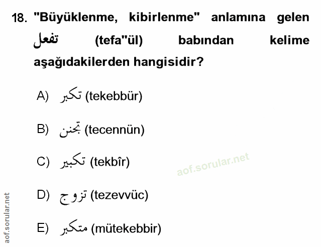 Soru 18