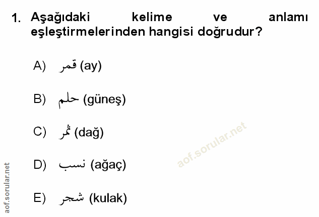 Soru 1