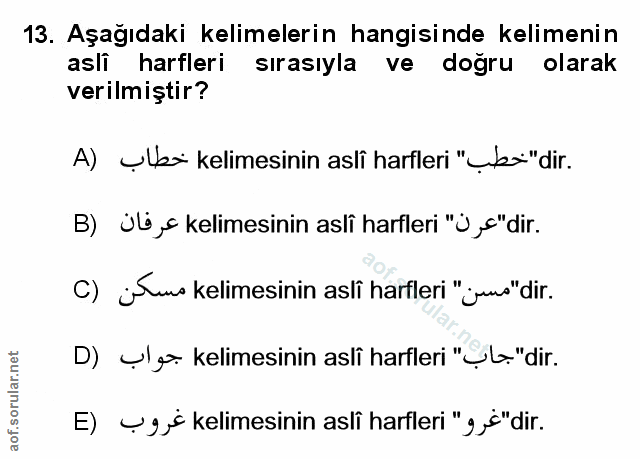 Soru 13