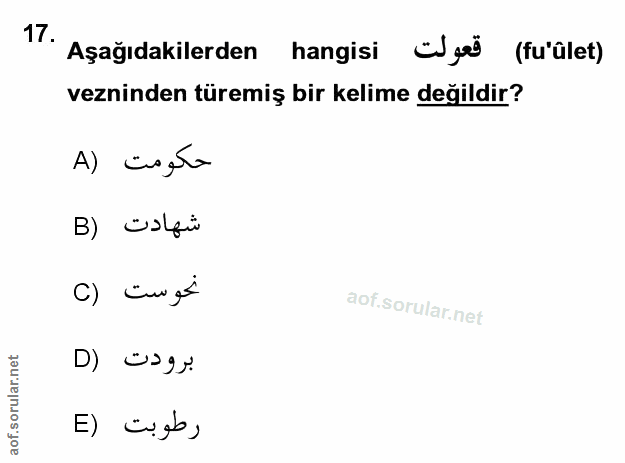 Soru 17