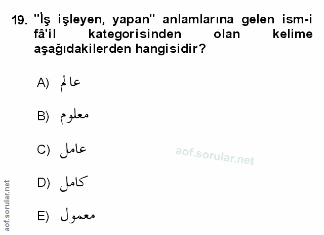 Soru 19
