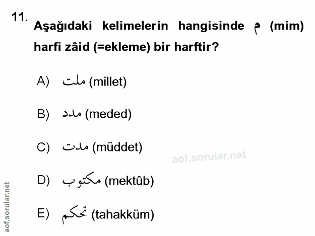 Soru 11