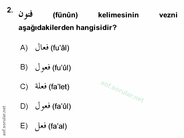 Soru 2