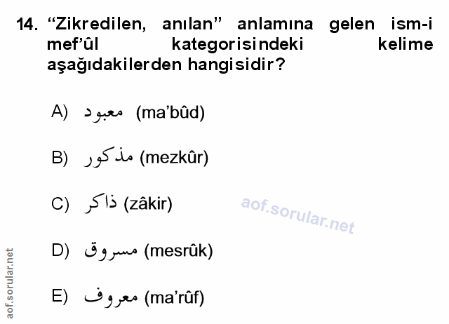 Soru 14