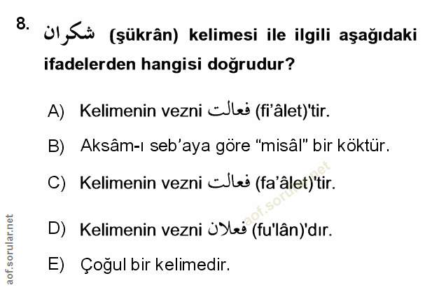 Soru 8