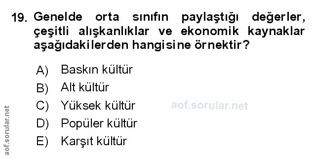 Soru 19