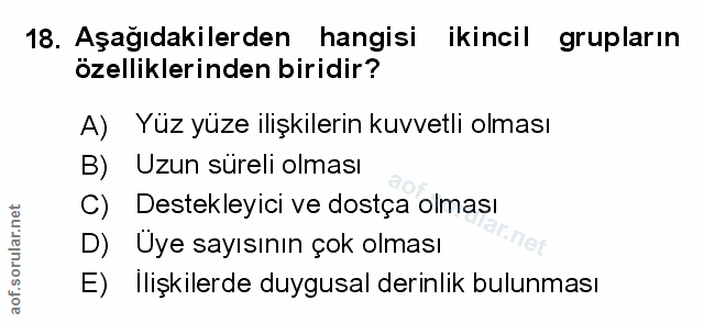 Soru 18