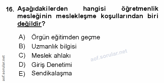 Soru 16