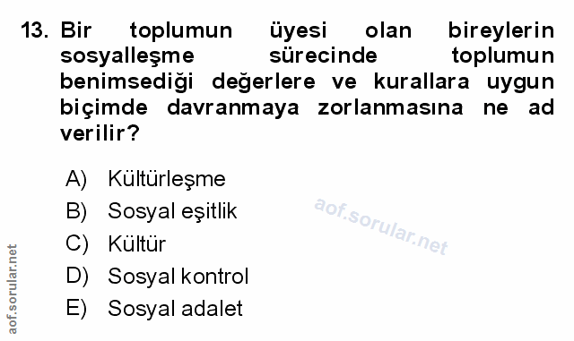 Soru 13