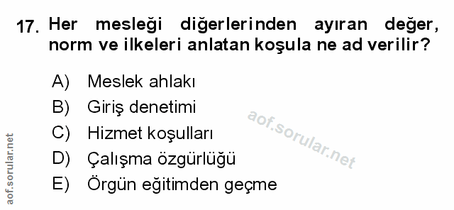 Soru 17