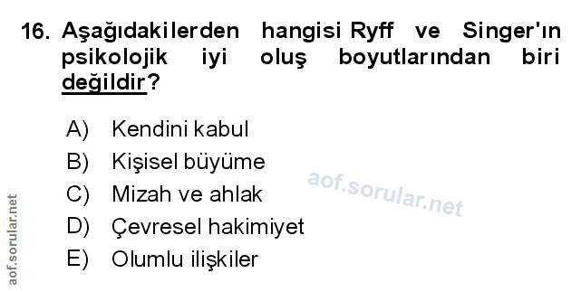 Soru 16