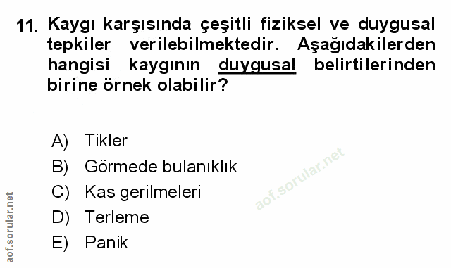 Soru 11