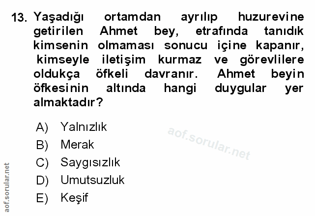 Soru 13