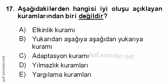 Soru 17