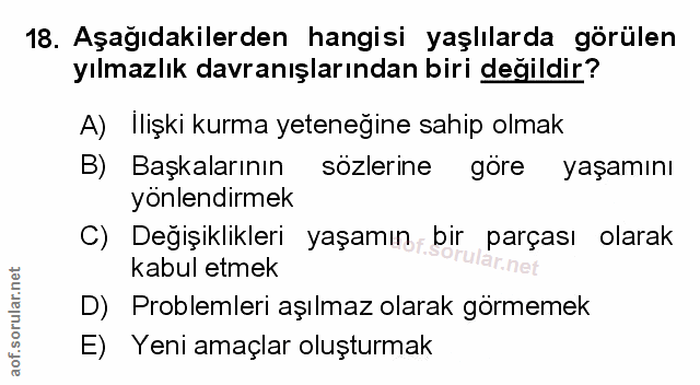 Soru 18