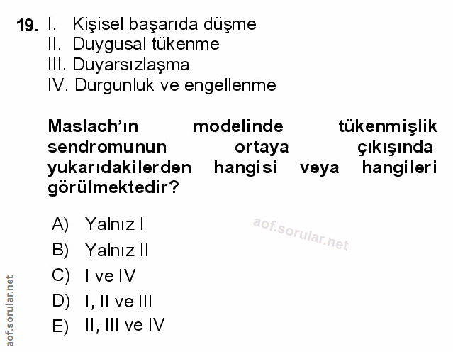 Soru 19