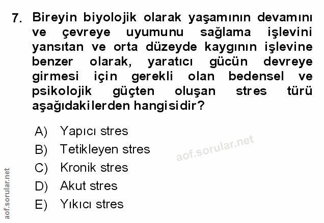 Soru 7