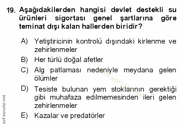 Soru 19