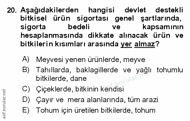 Soru 20