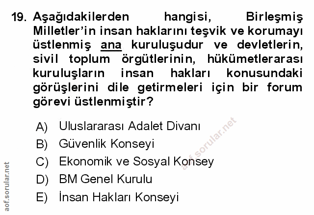 Soru 19