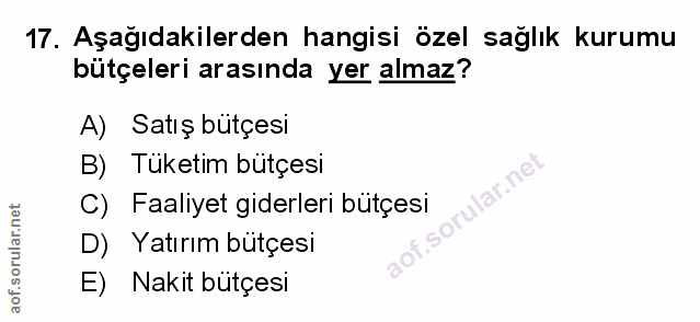 Soru 17