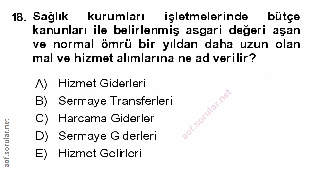Soru 18