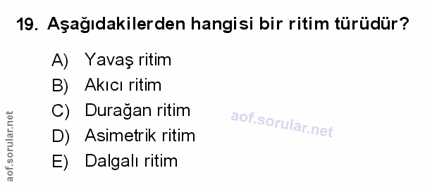 Soru 19