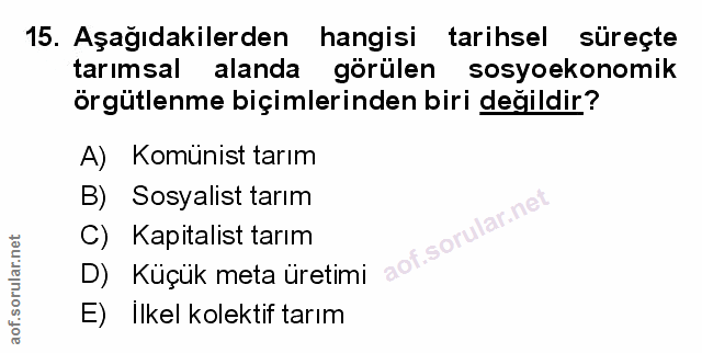 Soru 15