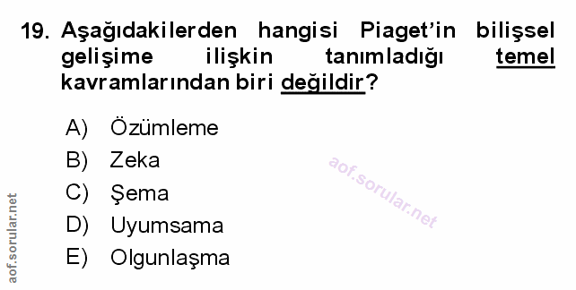 Soru 19