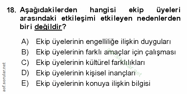 Soru 18