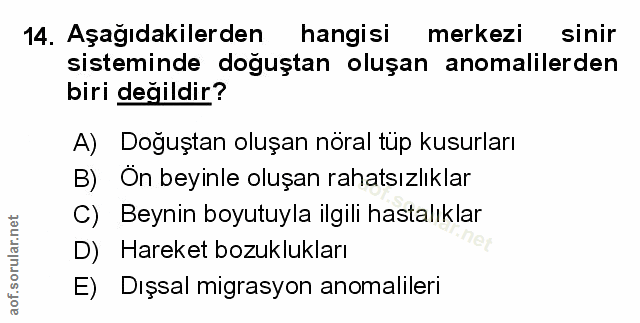 Soru 14
