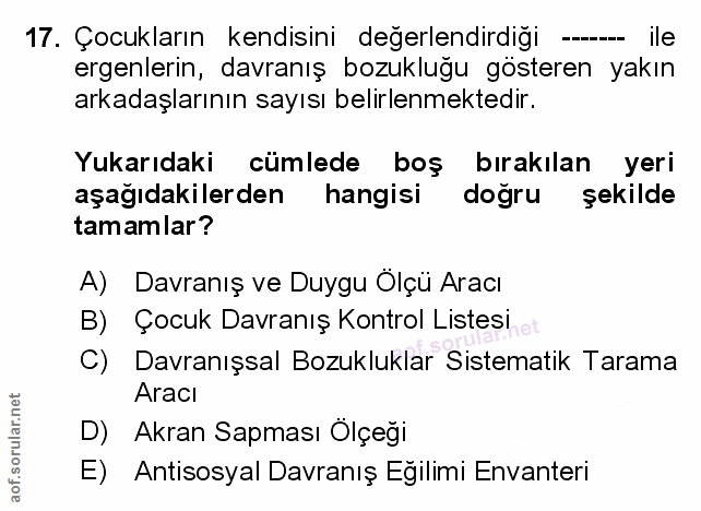 Soru 17