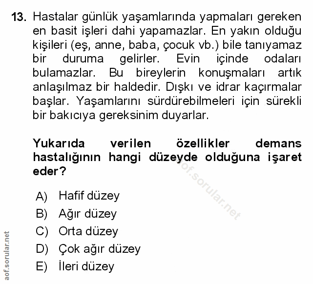 Soru 13