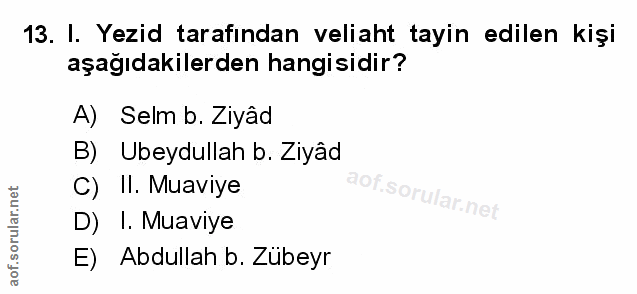 Soru 13
