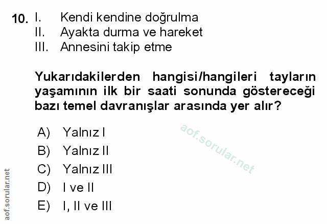 Soru 10