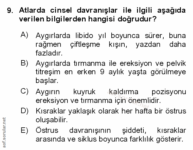 Soru 9