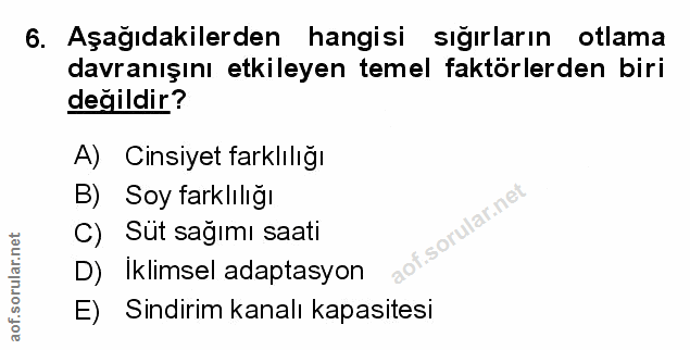Soru 6