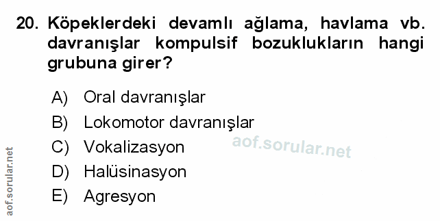 Soru 20
