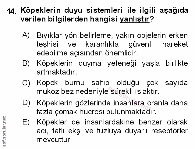 Soru 14