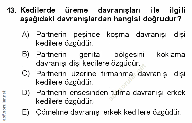 Soru 13